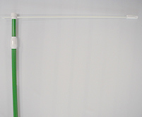 �̂ڂ�|�[��