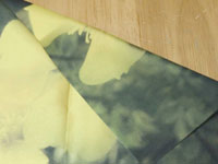 ���ʓ]�ʈ����